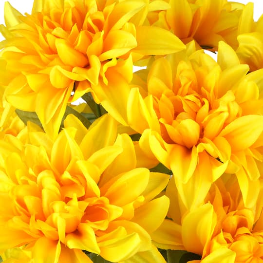 18" Dahlia Bush by Ashland